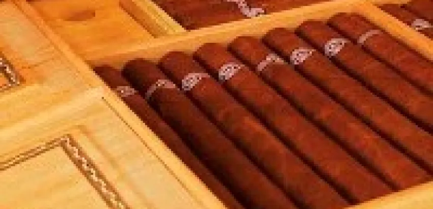 Habanos, el gusto está cambiando Habanos, el gusto está cambiando