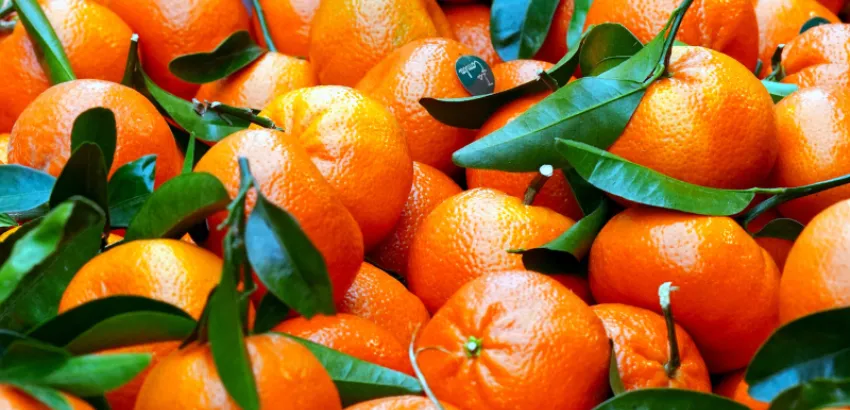 naranja, clementina y mandarina