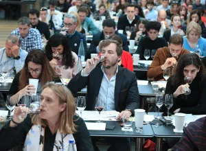 Brain & Wine-forum-internacional