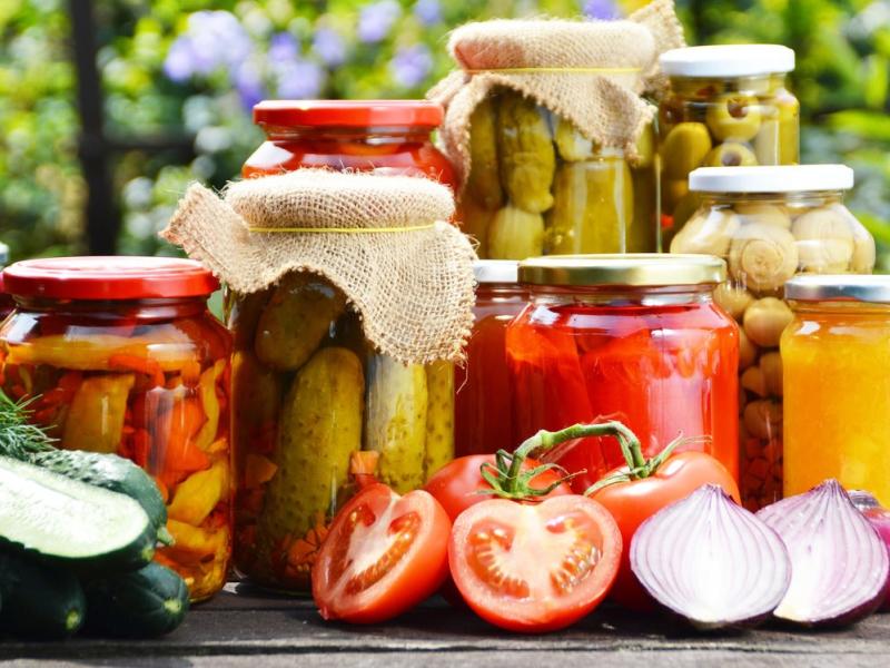 Alimentos fermentados
