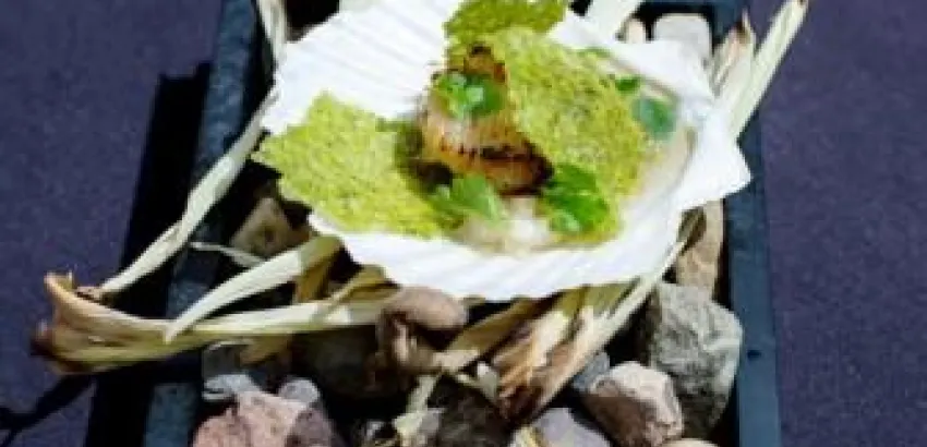 Panamá, país invitado en Vallarta Nayarit Gastronómica 2015 Panamá, país invitado en Vallarta Nayarit Gastronómica 2015