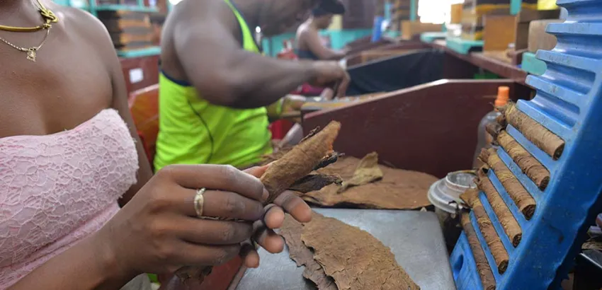 Fábricas de Habanos y prestigio Fábricas de Habanos y prestigio