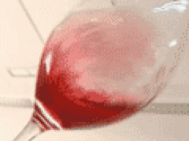 Unión Europea: El vino rosado gana la batalla al revocarse la mezcla de tinto y blanco