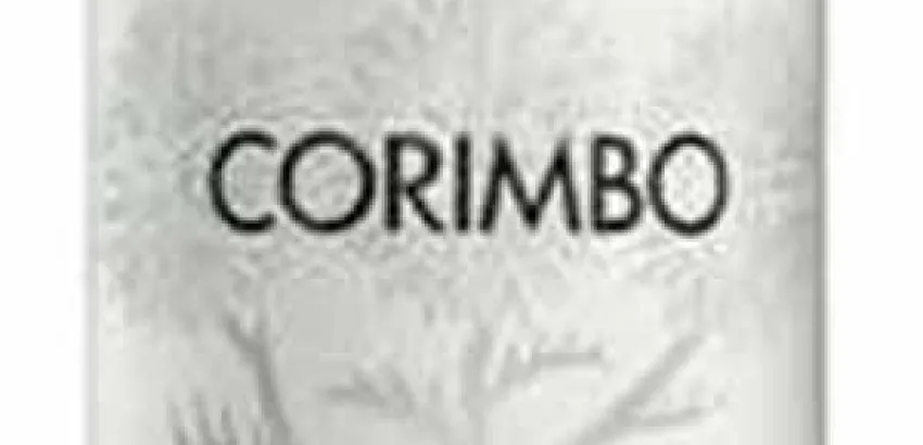 CORIMBO 2012, gran vino fruto de una añada fresca y seca en la Ribera del Duero CORIMBO 2012, gran vino fruto de una añada fresca y seca en la Ribera del Duero