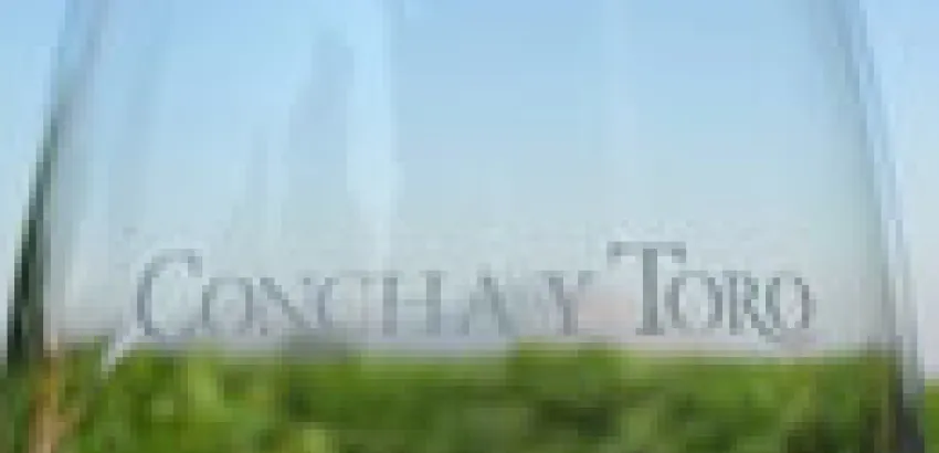 Chile: Concha y Toro cambia su producción de vinos blancos para Casablanca y Limarí Chile: Concha y Toro cambia su producción de vinos blancos para Casablanca y Limarí