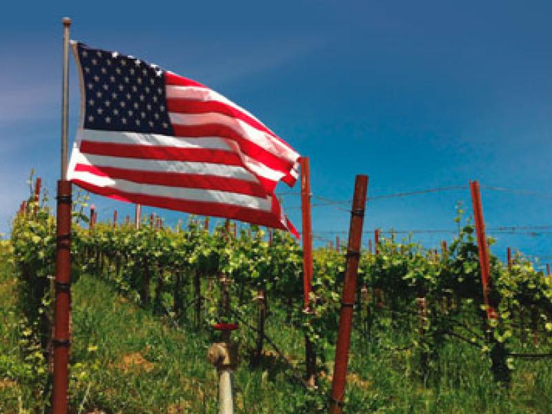 Vinos de Estados Unidos: el placer creciente