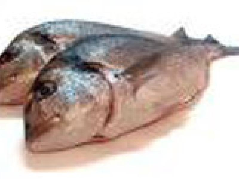 España organiza “La Semana del Pescado” para fomentar una dieta sana y equilibrada 