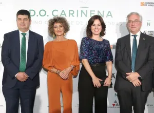 D.O. Cariñena