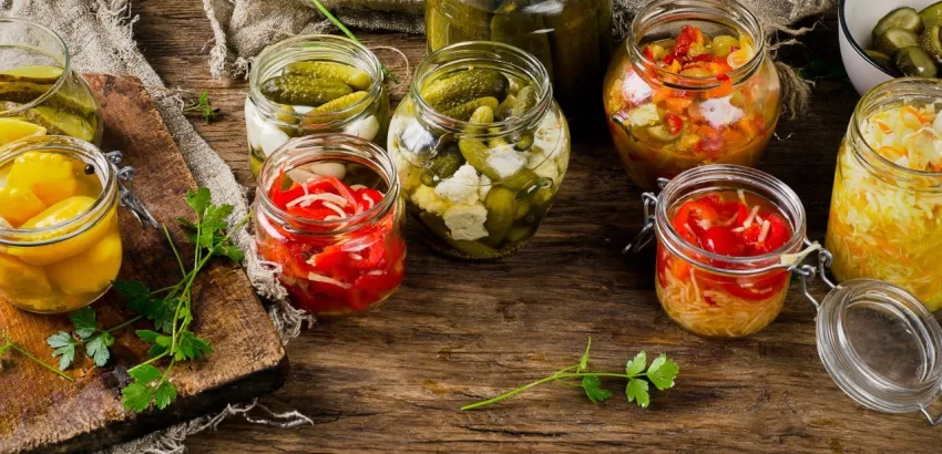 Alimentos fermentados-conservas