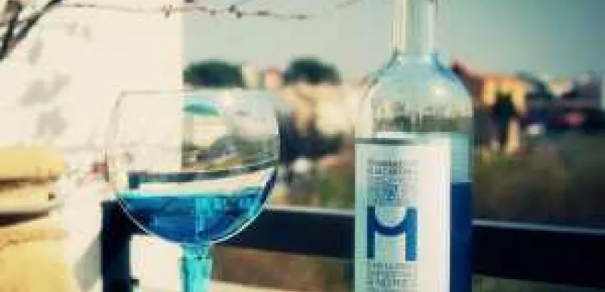 Ellas prefieren el vino azul Ellas prefieren el vino azul