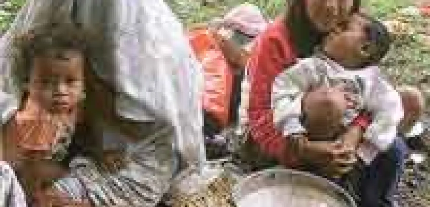 FAO urge cambiar patrones actuales de consumo de alimentos FAO urge cambiar patrones actuales de consumo de alimentos