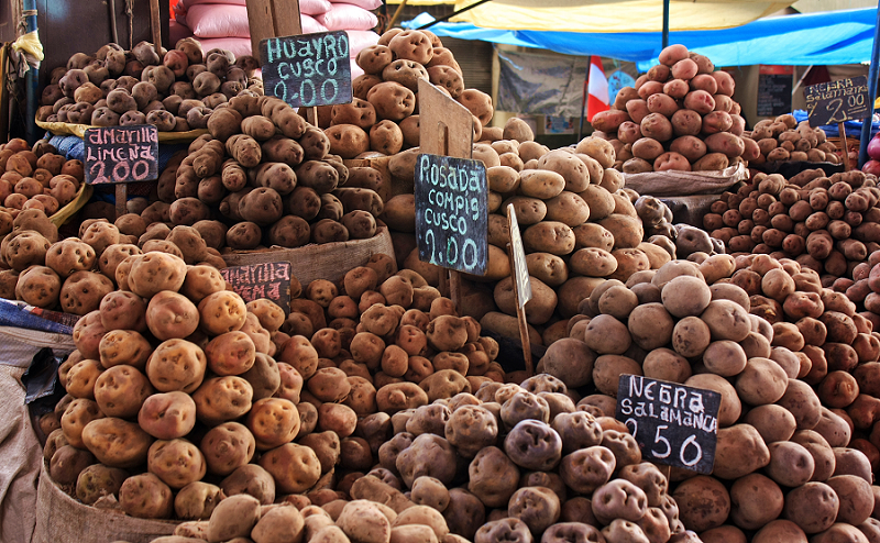 gastronomía peruana-variedad-papas-peruanas