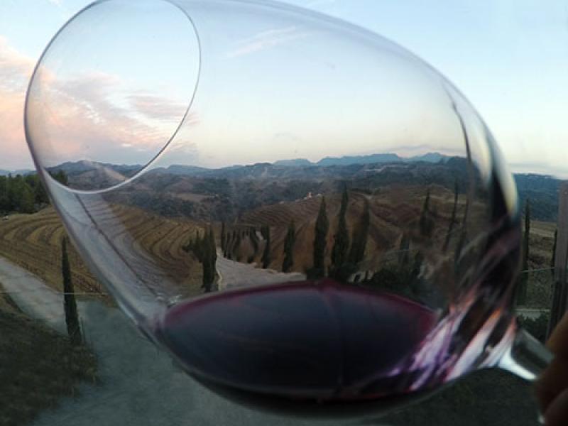 Bodegas Torres: redescubriendo el sabor de España (III Parte)