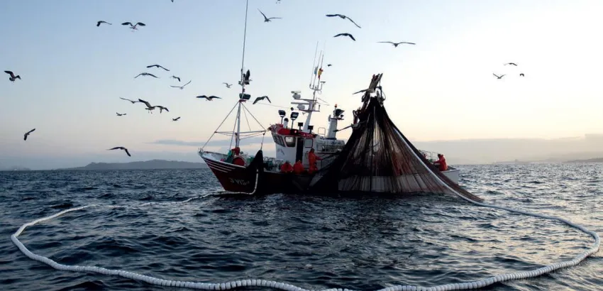 Nuevas directrices para frenar las capturas ilegales de pescado Nuevas directrices para frenar las capturas ilegales de pescado