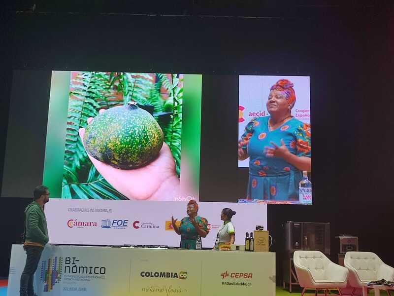 Binómico 2023