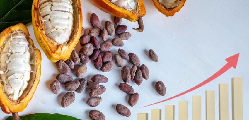 Los precios del cacao llegaron a alcanzar los 10.000 dólares por tonelada crisis del cacao
