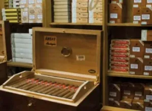 Habanos ¿Frescos o Añejados?