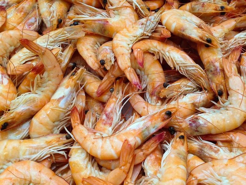 Feria Gastronómica y Ruta del Marisco Tepeaca, Cuaresma 2023