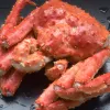 cangrejo-real-chatka