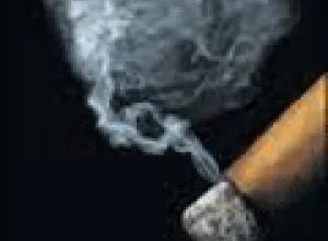 El Señor Don Habano
