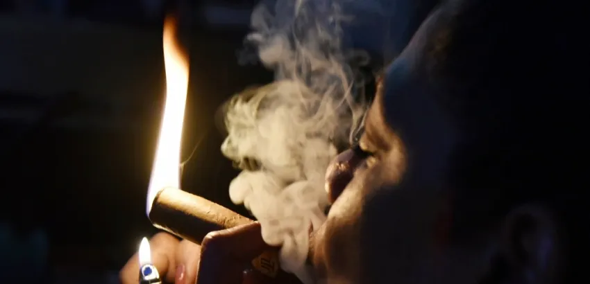 habanos habanos