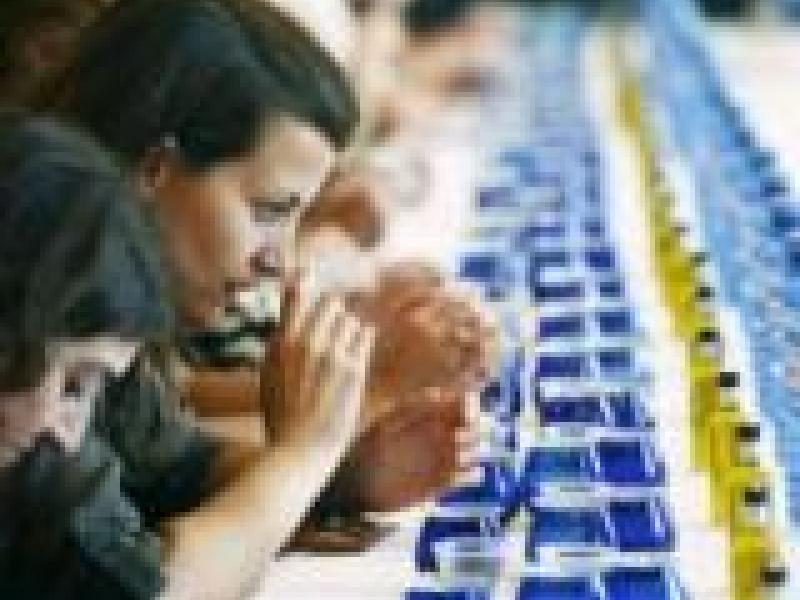 Aceites de Oliva, también hay que catar