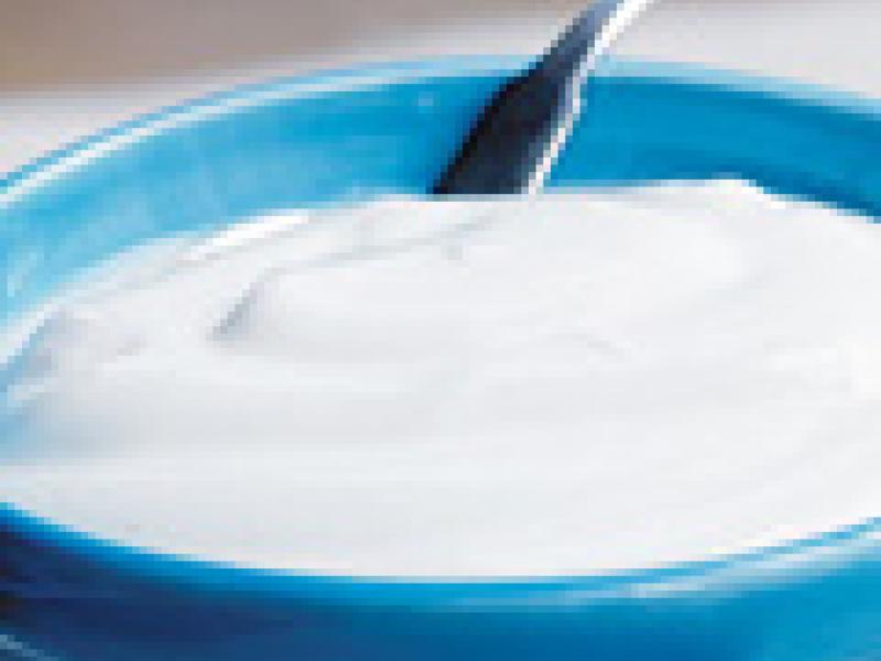 Alimentos ricos en lactobacilus, un refuerzo para las defensas