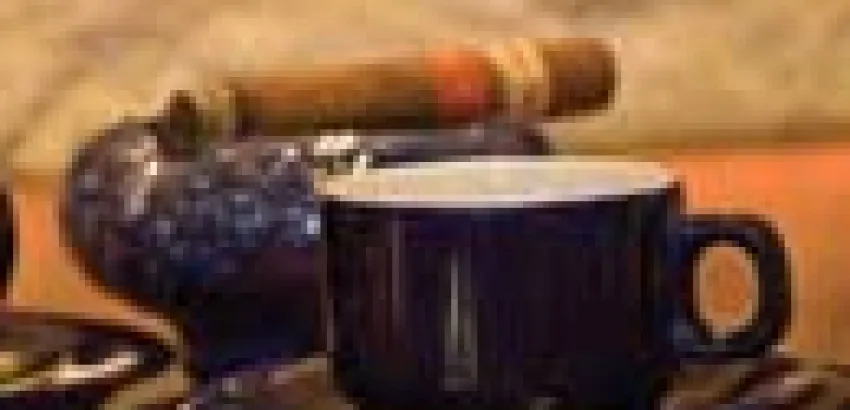 ¿Qué son los Habanos Vintage? ¿Qué son los Habanos Vintage?