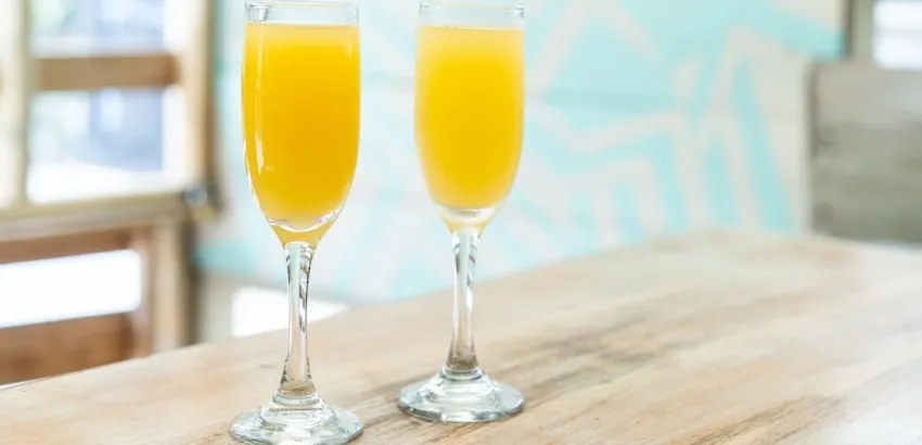 mimosa 