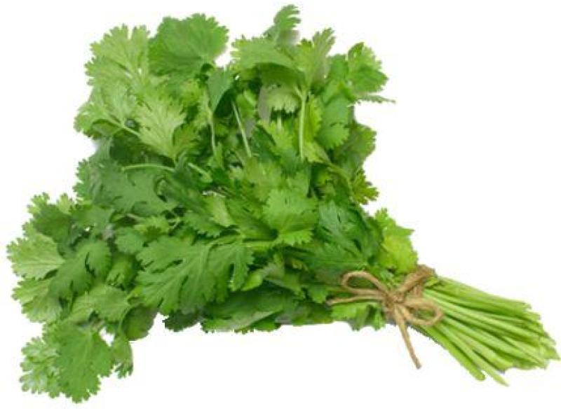 ¿Cómo cocinar con el culantro?