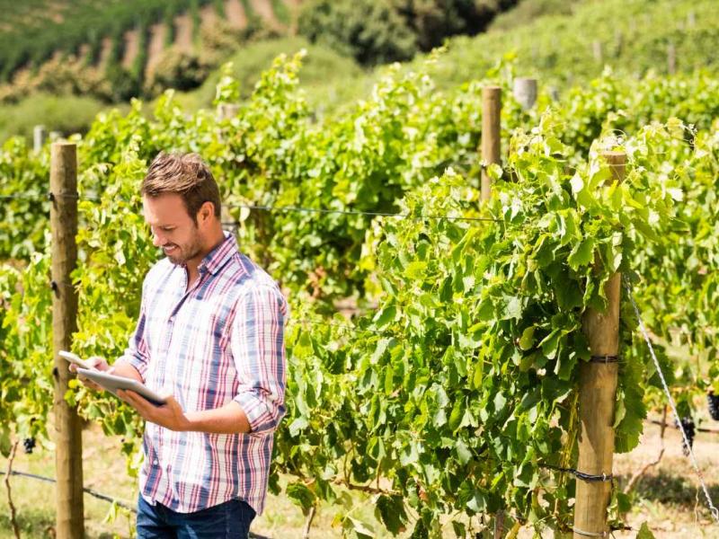 bodegas-digitalizacion
