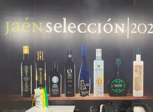 Diputación de Jaén en la World Olive Oil Congress 2025