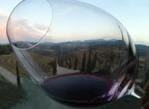Bodegas Torres: redescubriendo el sabor de España (III Parte)