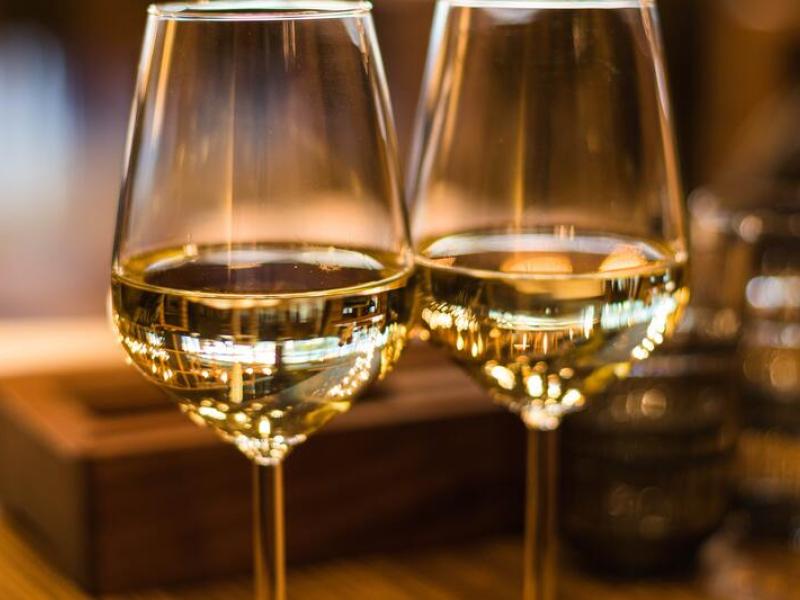 vinos argentinos