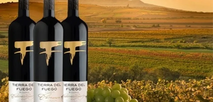 Tierra del Fuego… vinos con alma chilena Tierra del Fuego… vinos con alma chilena