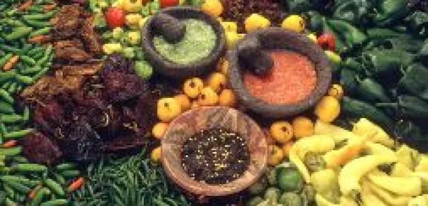 Fundida en negro, un encantamiento con la Gastronomía Mexicana Fundida en negro, un encantamiento con la Gastronomía Mexicana