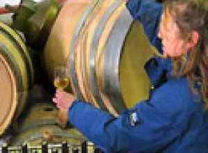 Los vinos dulces de Banyuls