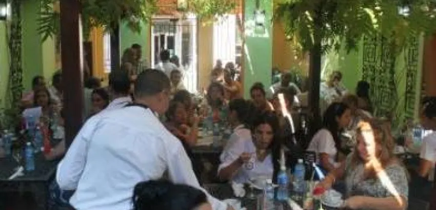 La malanga y sus posibilidades en la cocina cubana La malanga y sus posibilidades en la cocina cubana