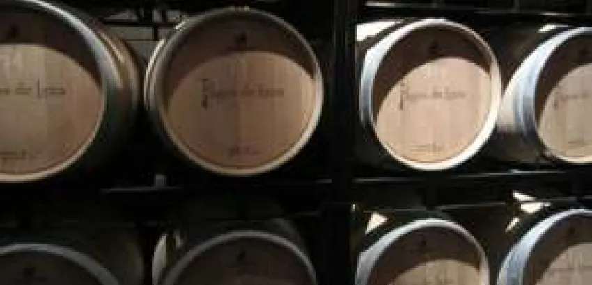 Bodegas Pagos de Leza: enoturismo en Estado Puro Bodegas Pagos de Leza: enoturismo en Estado Puro
