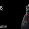 León celebra El Gallo Wine Fest 2025