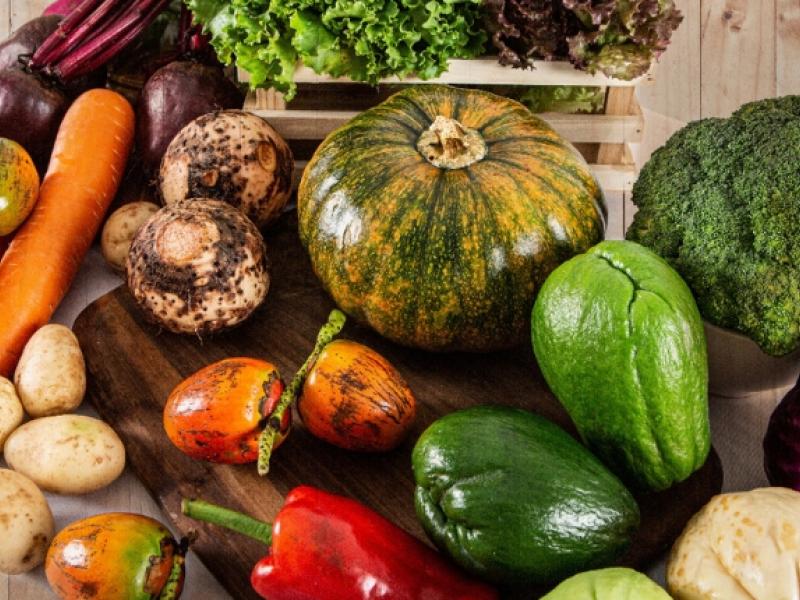 Costa Rica propone creación de Premio Nacional de Gastronomía 