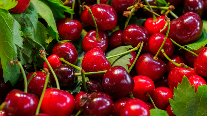 Las cerezas son una fruta de verano temprano