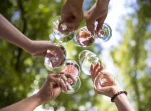 vinos españoles 