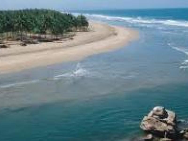 Panamá, país invitado a VII edición de Vallarta Nayarit Gastronómica