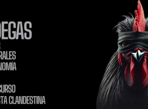 León celebra El Gallo Wine Fest 2025