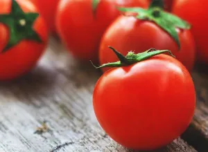 tomates