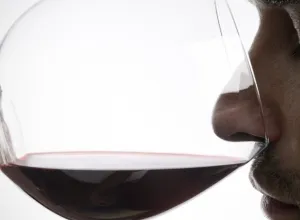aromas del vino