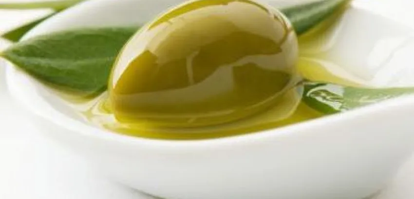 La actual campaña de aceite de oliva en España bate todos los récords La actual campaña de aceite de oliva en España bate todos los récords