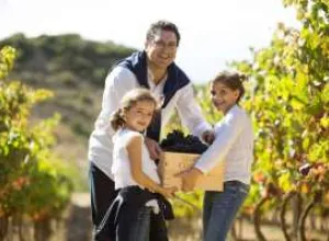 Villa-Lucía organiza varias actividades en torno a la vendimia en Rioja Alavaesa