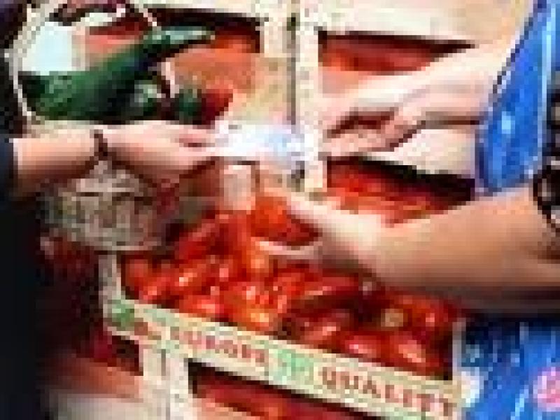 Sigue creciendo el precio internacional de los alimentos